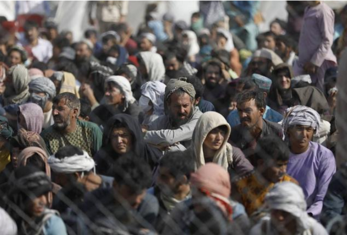 美国移民签证都暂停了 全力以赴5万名阿富汗难民